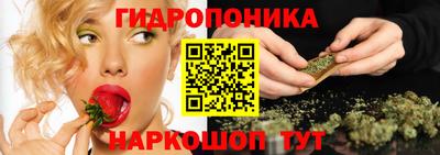 apvp Жуковский